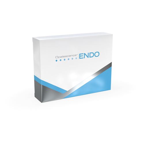 Opalescence Endo kit /2x1,2ml + kanyly 20ks/