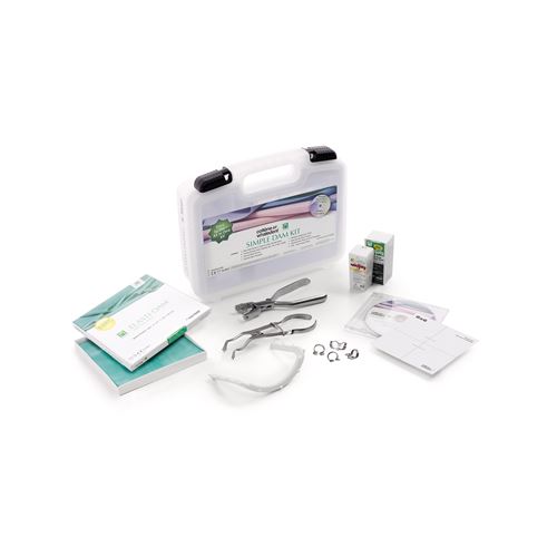 Hygienic simple dam kit H02900