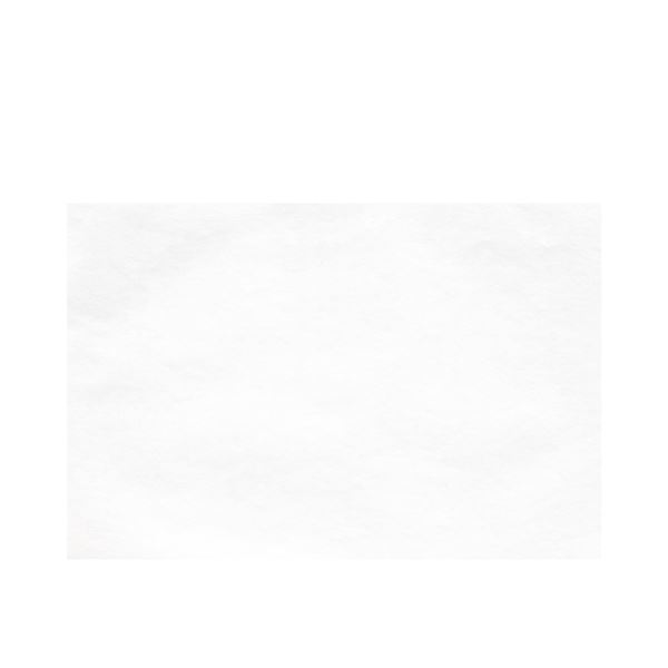 Tray Paper 28 x18 cm 250 ks  biely