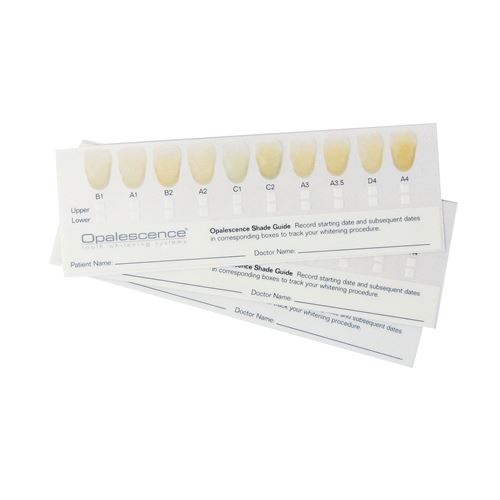 Opalescence farebné vzorkovníky 50 ks