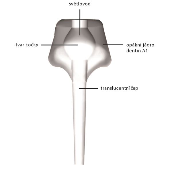 Edelweiss čap Premolar dolný M 1,4mm 2 ks