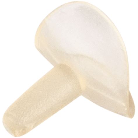 SeptoMatrix Cervical matrice 50ks, veľ. L