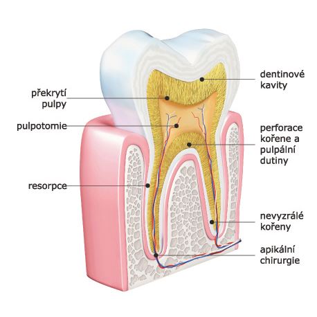 Biodentine 5 x 0,7g 