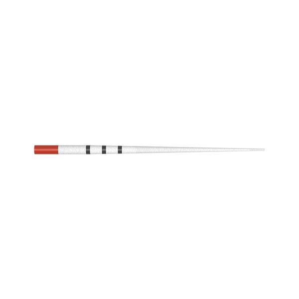 ProTaper Ultimate papierové čapy F2 červené 180ks