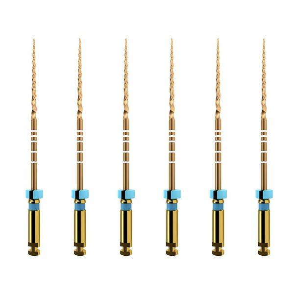 ProTaper Gold  F3  21 mm,6 ks