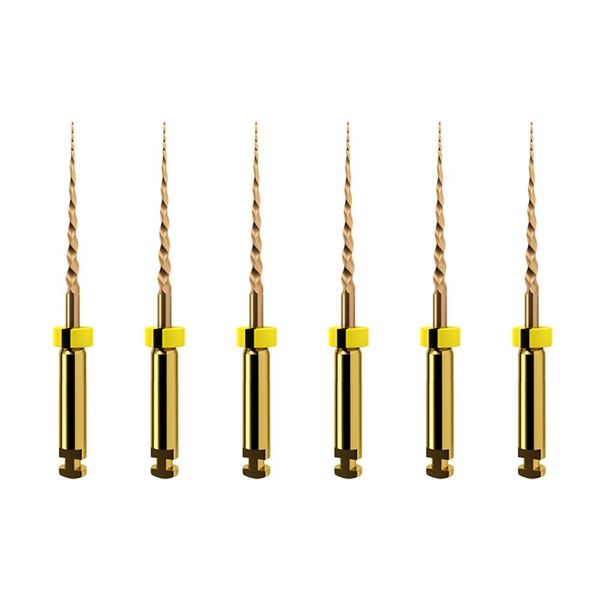ProTaper GOLD  SX 19mm, 6 ks