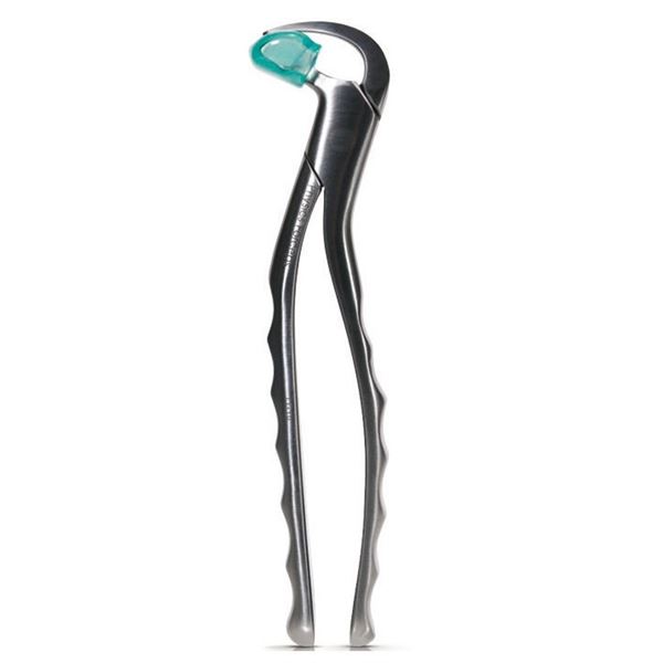 Kliešte Physic Forceps Standart horné anterior