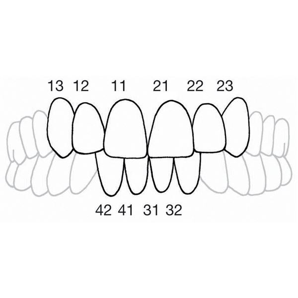 CoForm náhr. 8ks  41-42M