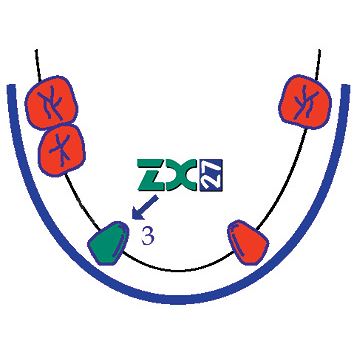 ZX-27 sklenený pilier S