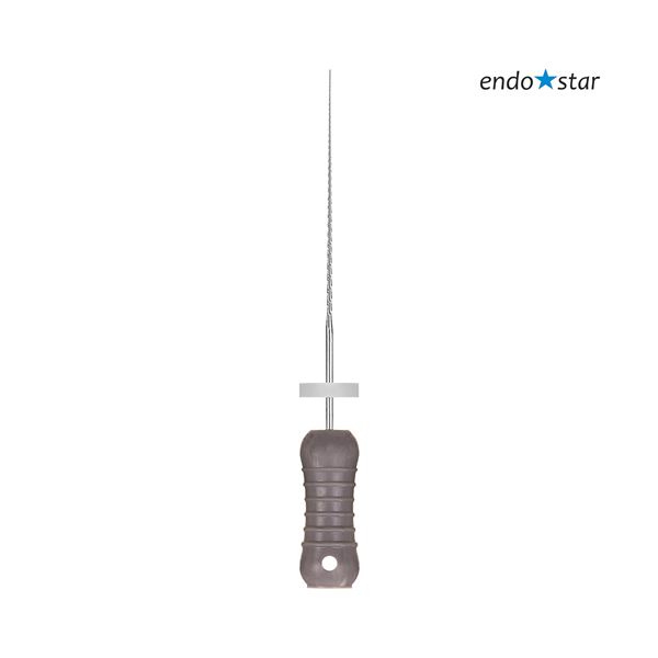 Endostar H-File 08 21mm