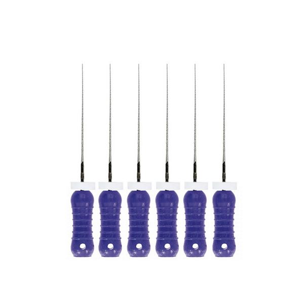 Endostar  Canal Locator 21mm  010  6 ks
