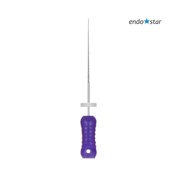 Endostar K-File 10 fialové  28 mm 6 ks