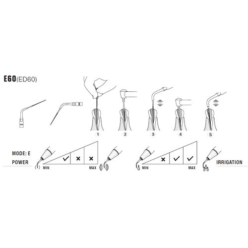 Woodpecker-DTE endo tip ED60