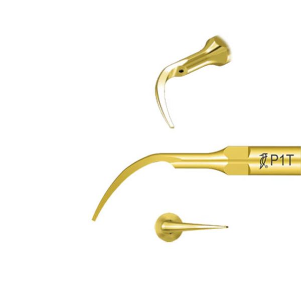 Woodpecker  Tip P1T   Tin EMS