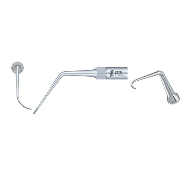 Woodpecker-DTE perio tip P2L