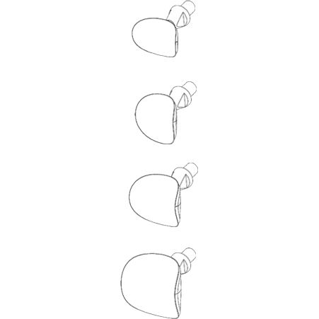 Cervical Matrices Assortment 7600