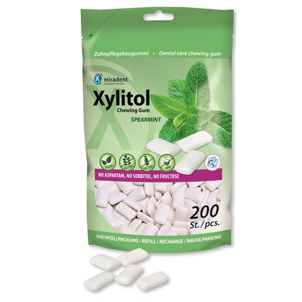 Xylitol s príchuťou mäta 200g