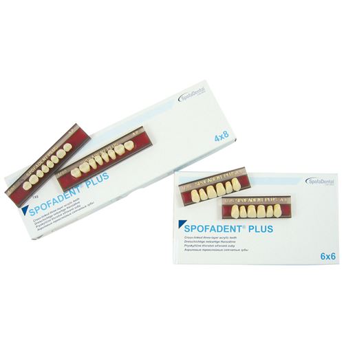 Spofadent Plus dist. H 4x8 165 A2