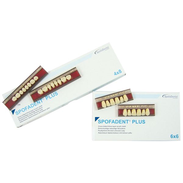 Spofadent Plus dist. H 4x8 165 A2