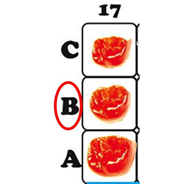 Fazetové prvky 17B - 12.6015