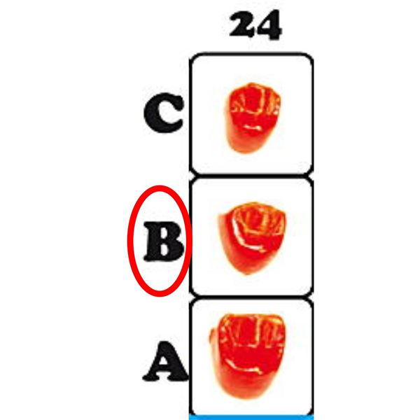 Fazetové prvky 24B - 12.6025
