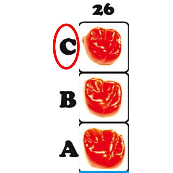 Fazetové prvky 26C - 12.6013