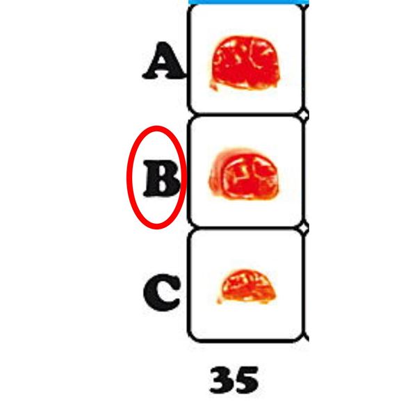 Fazetové prvky 35B - 12.6068
